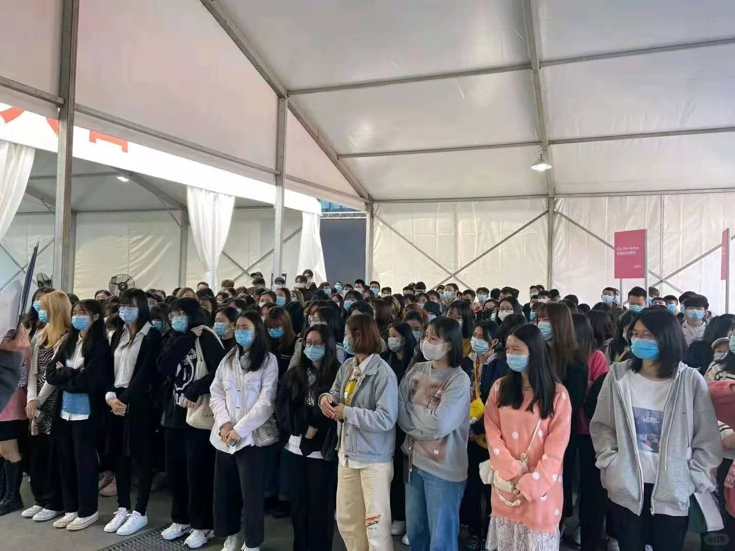 石家庄展会充场观众-生活演员群演-人气