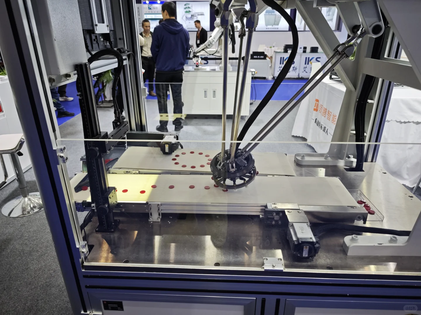 运动周报01_2025国际工业展