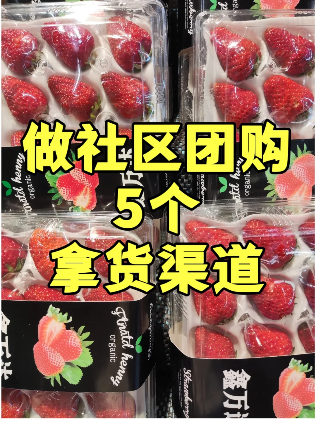 做社区团购5个拿货渠道