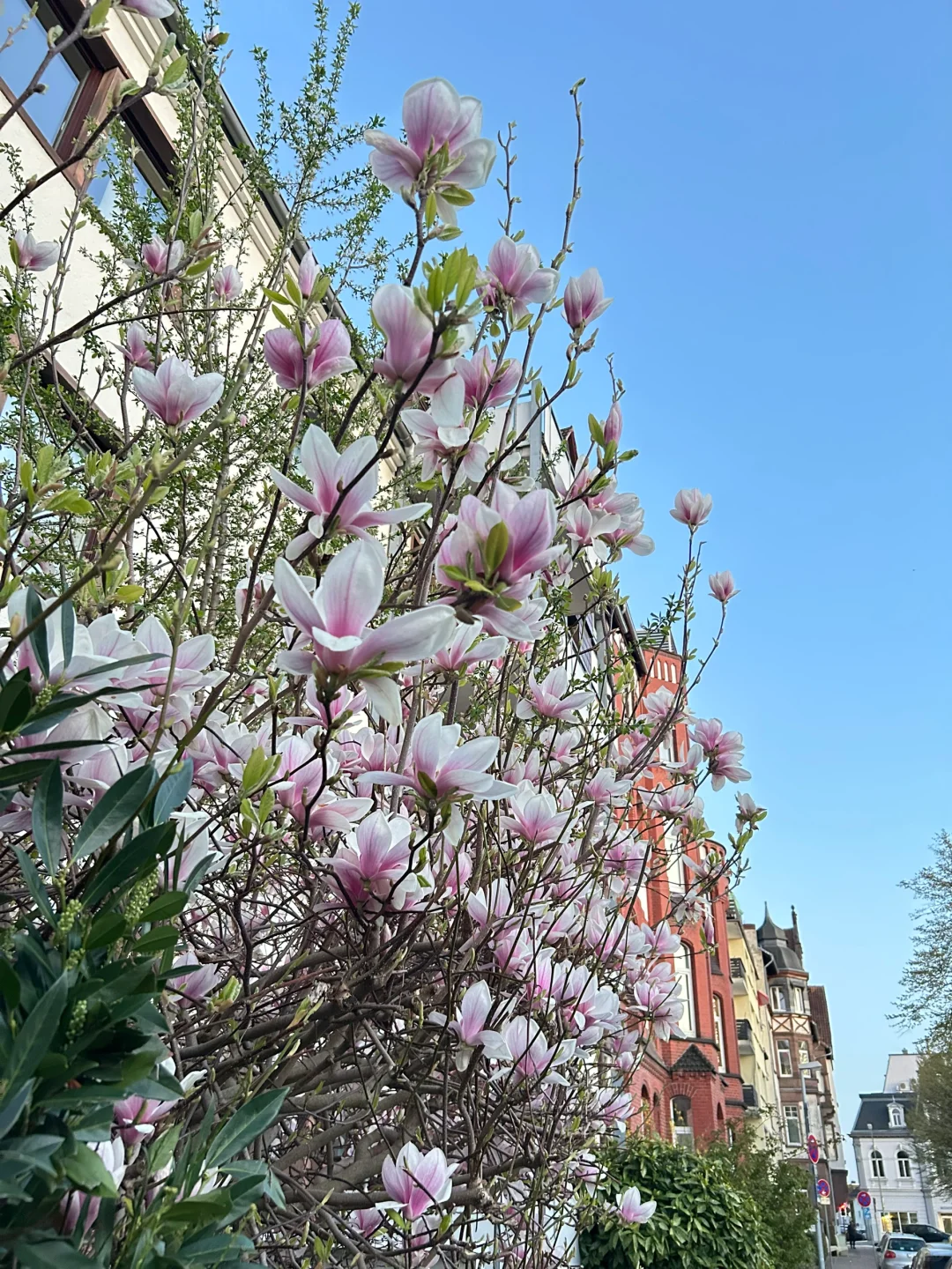 2025汉诺威工业展圆满收工，收获满满