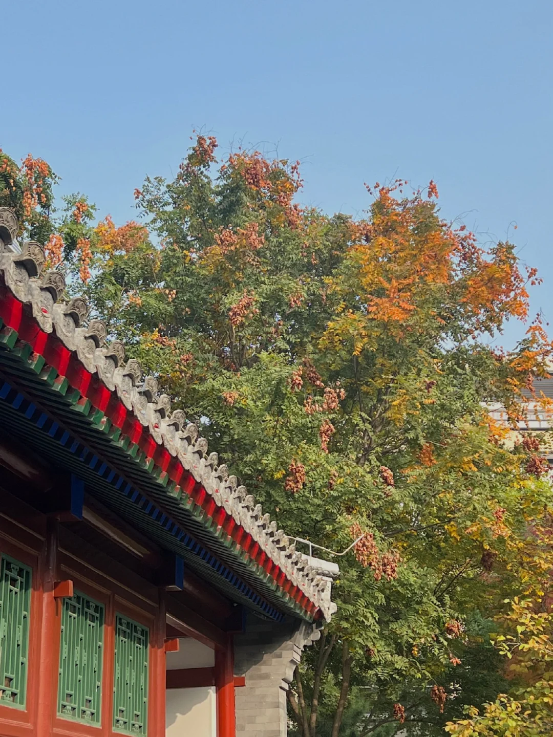 香奈儿在北京的香水展?