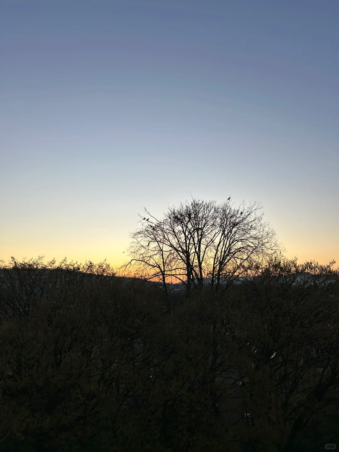 2025汉诺威工业展圆满收工，收获满满