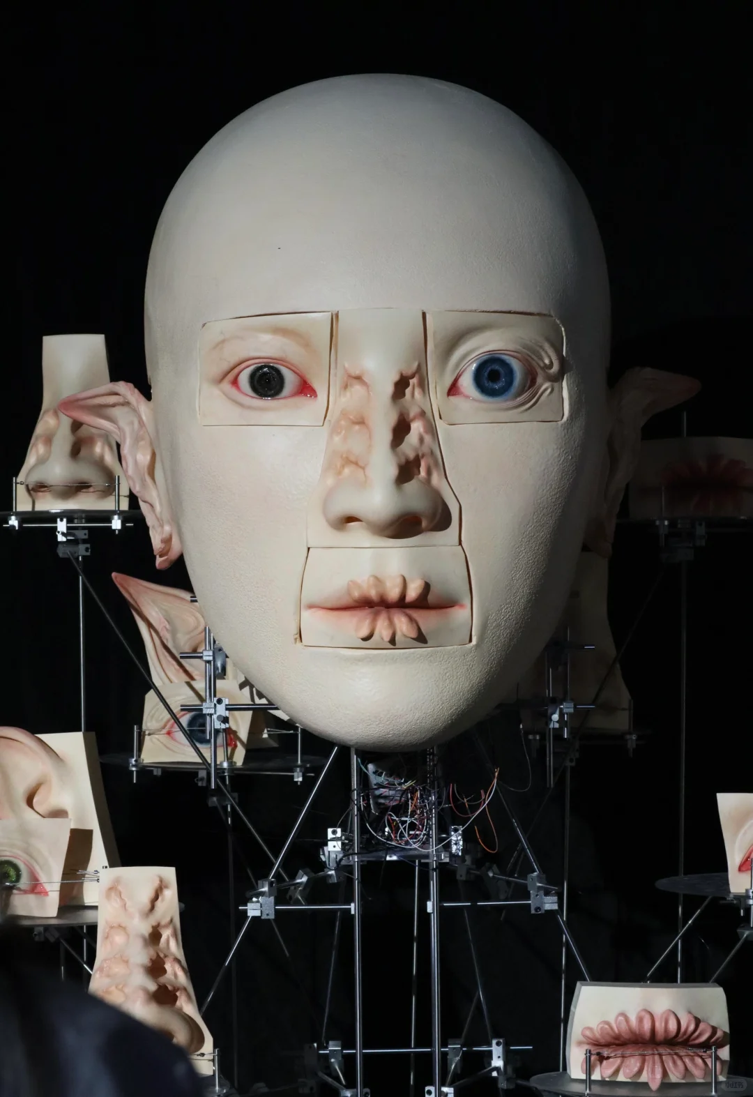 来了中国美术学院毕业展才知道什么是天才