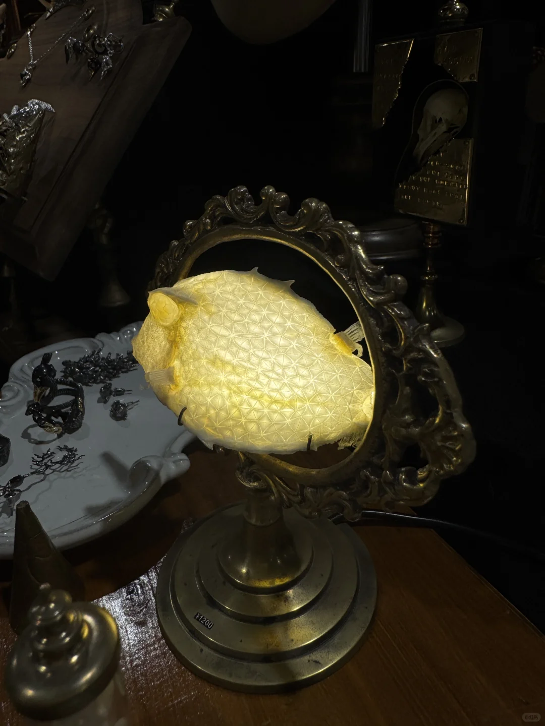 上海诺亚设计展?真的全是萌物下次还来！