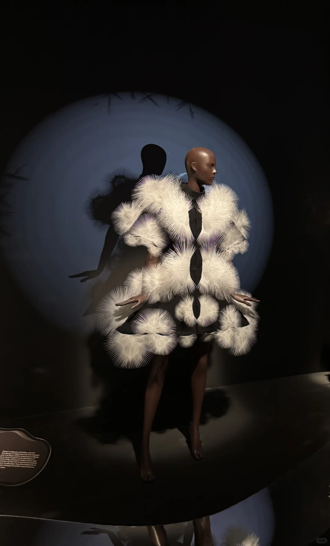 Iris van Herpen | 梦境与现实的边界