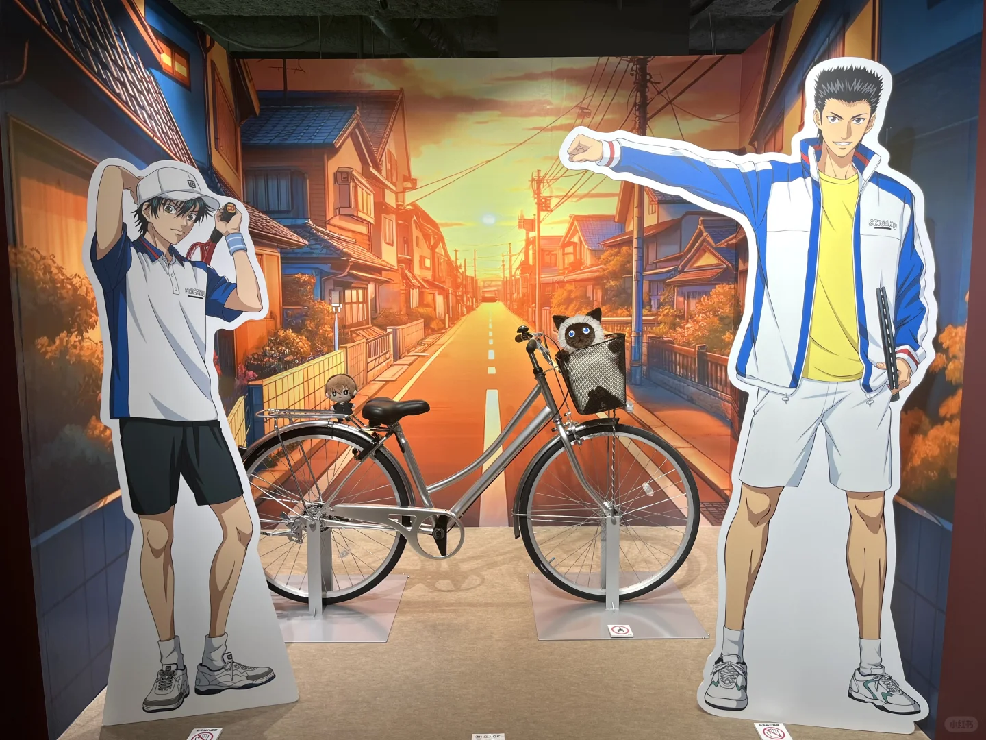 【网球王子】动漫展?