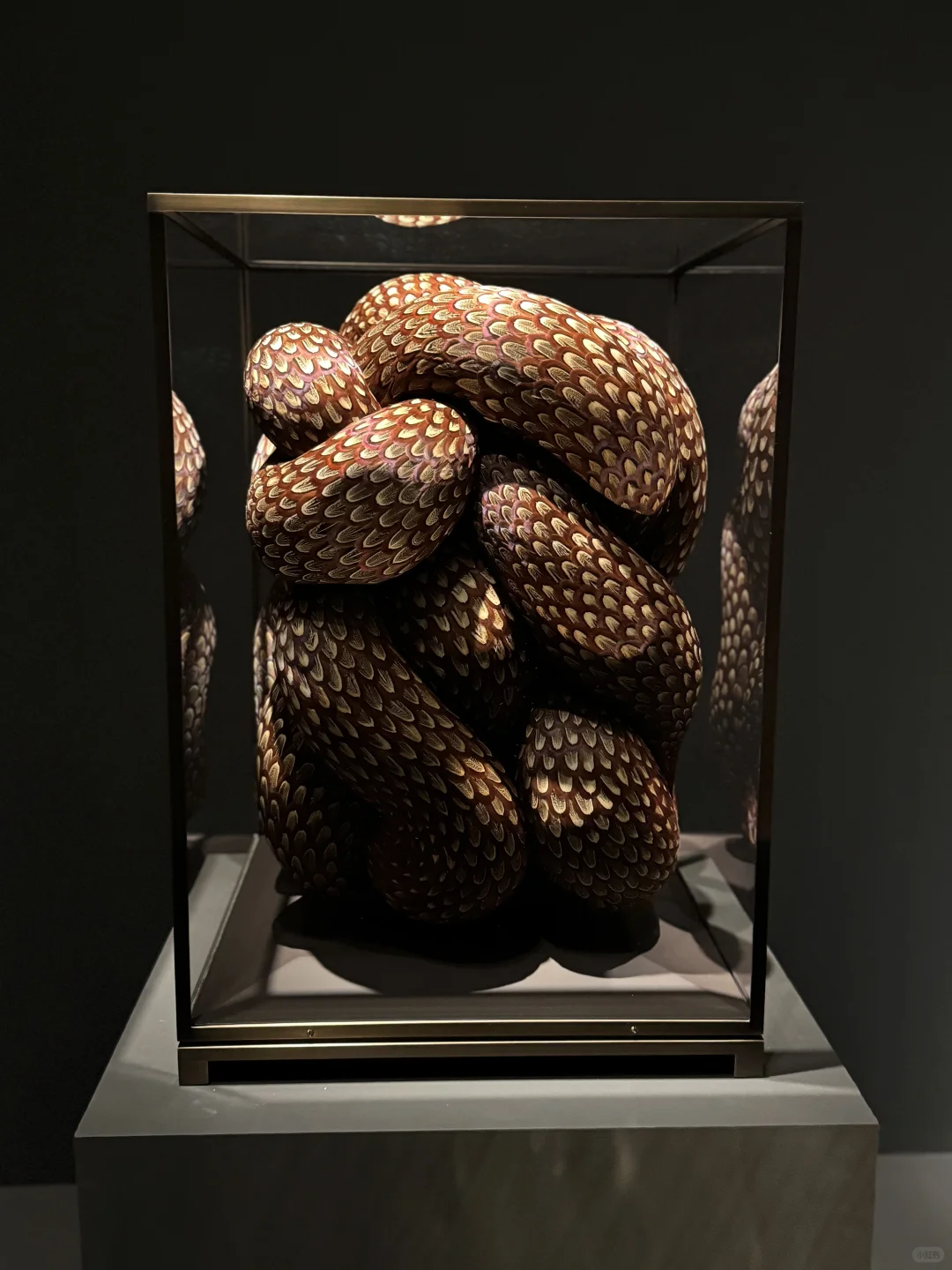 Iris van Herpen | 梦境与现实的边界