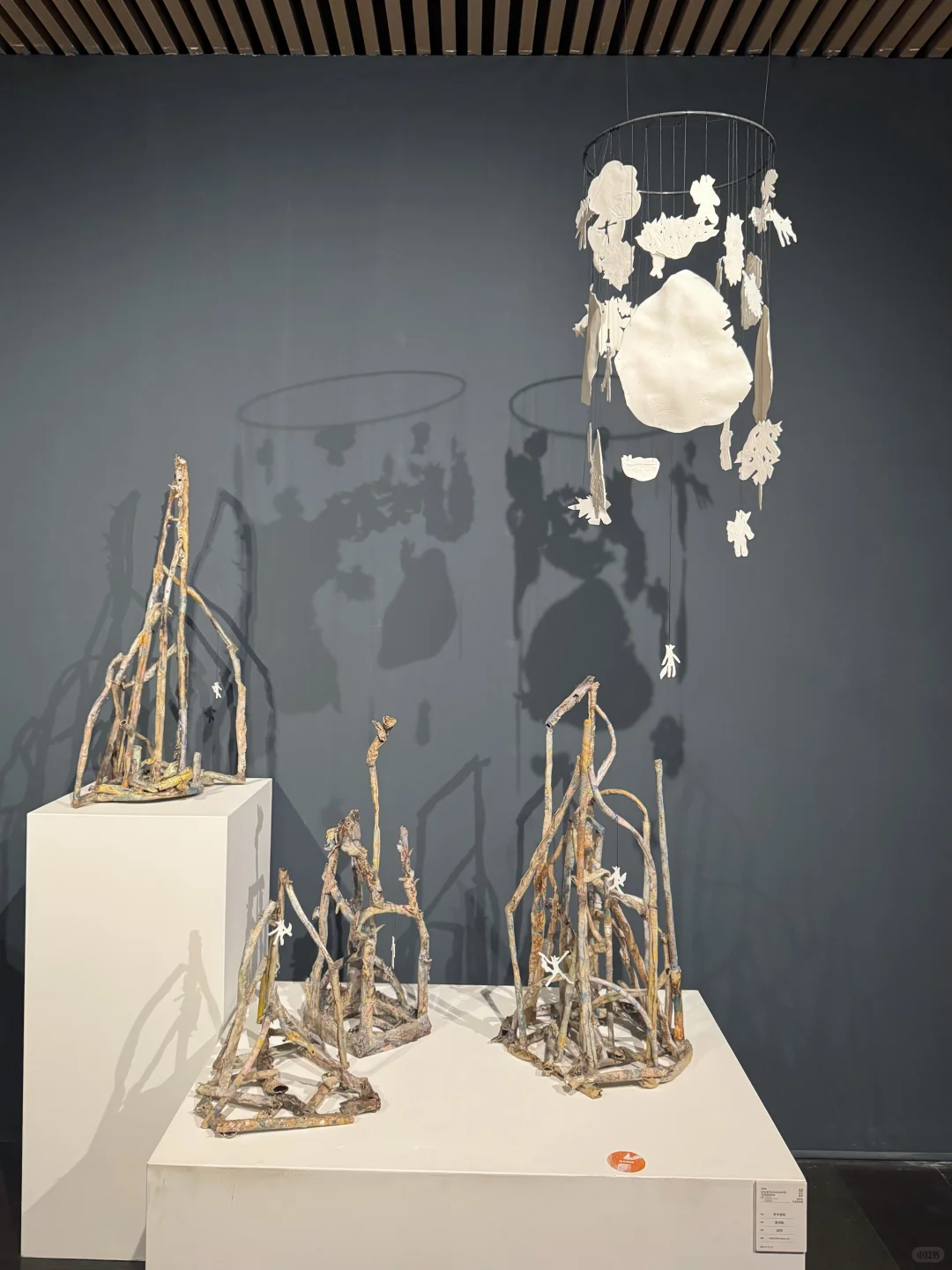 来看了清美本科毕业展