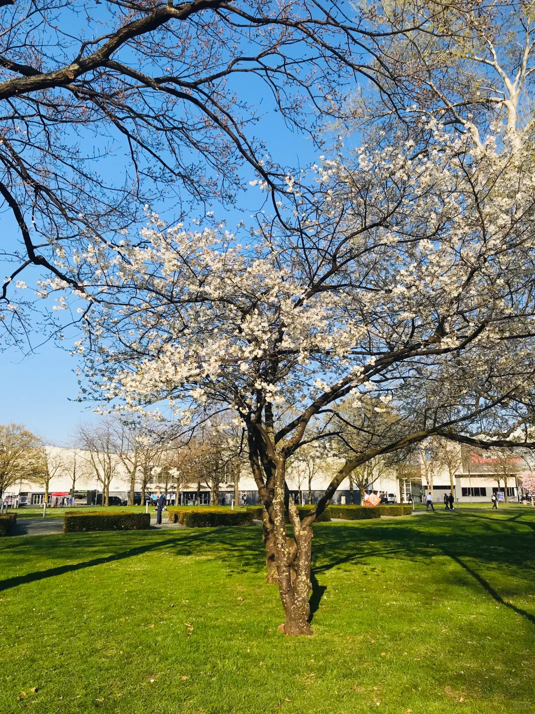 为期5天的汉诺威工业展结束啦，人好少呀……