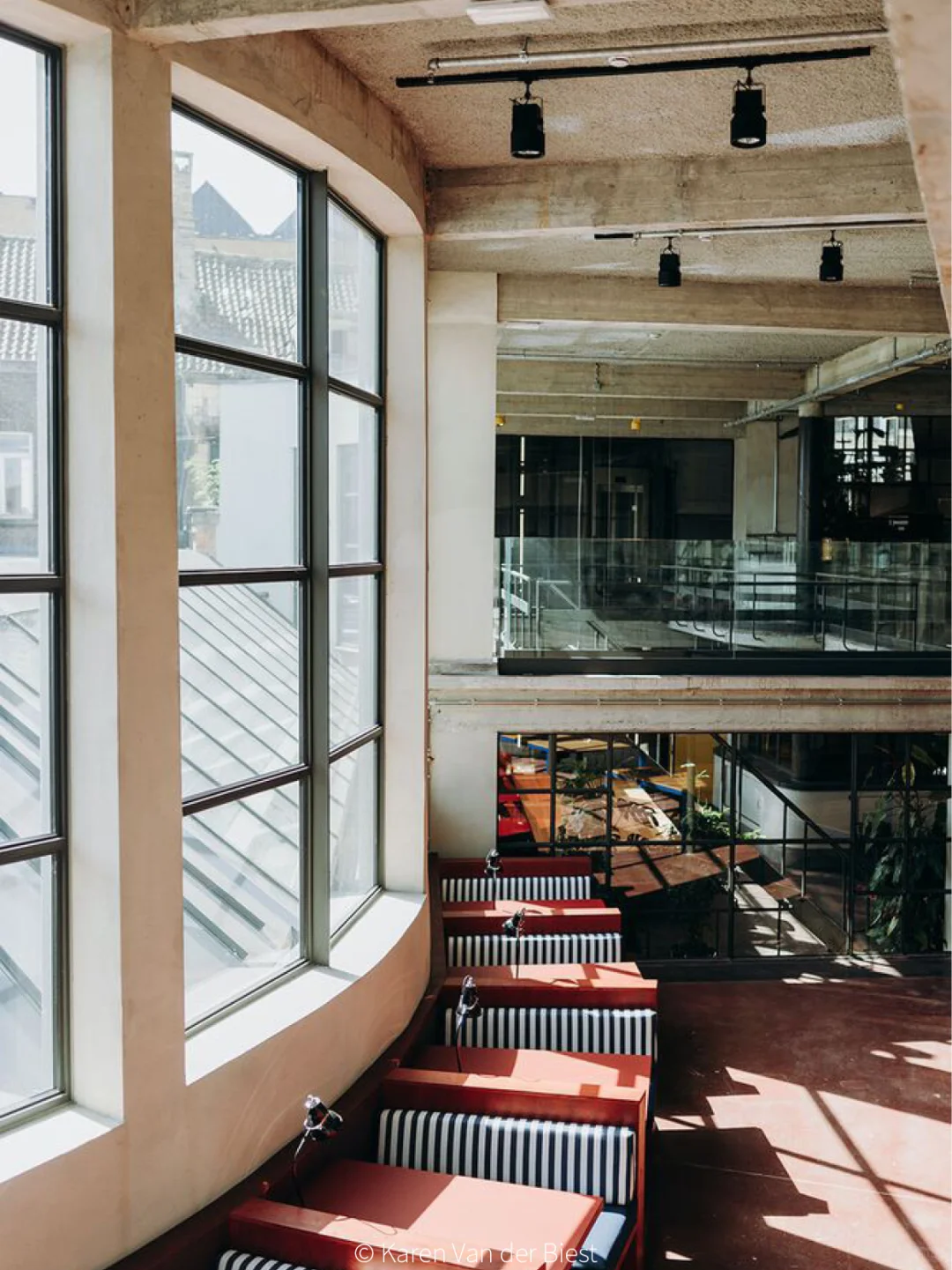 真·牛马?就来“马戏团”里办公