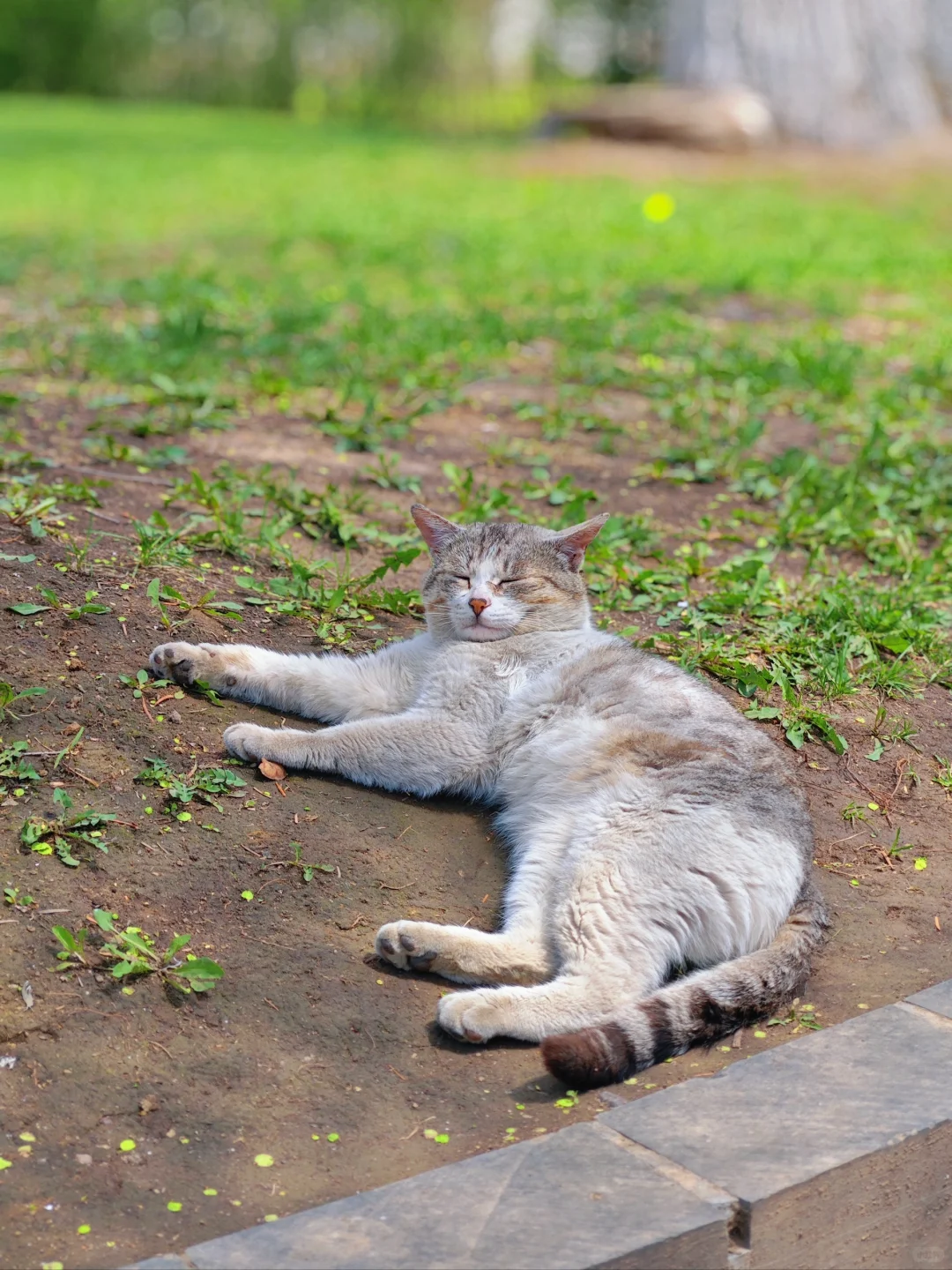 [小众遛娃地]穿越百年的工业机械展览馆⚙️