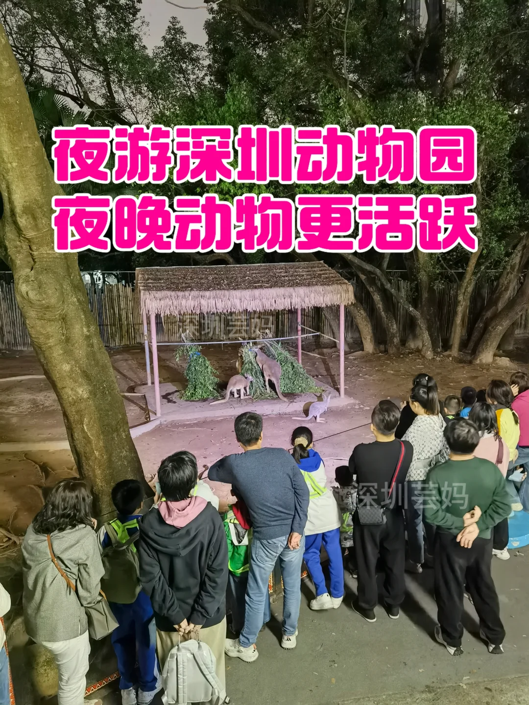 去深圳，要留一天带小孩看造飞机 造汽车