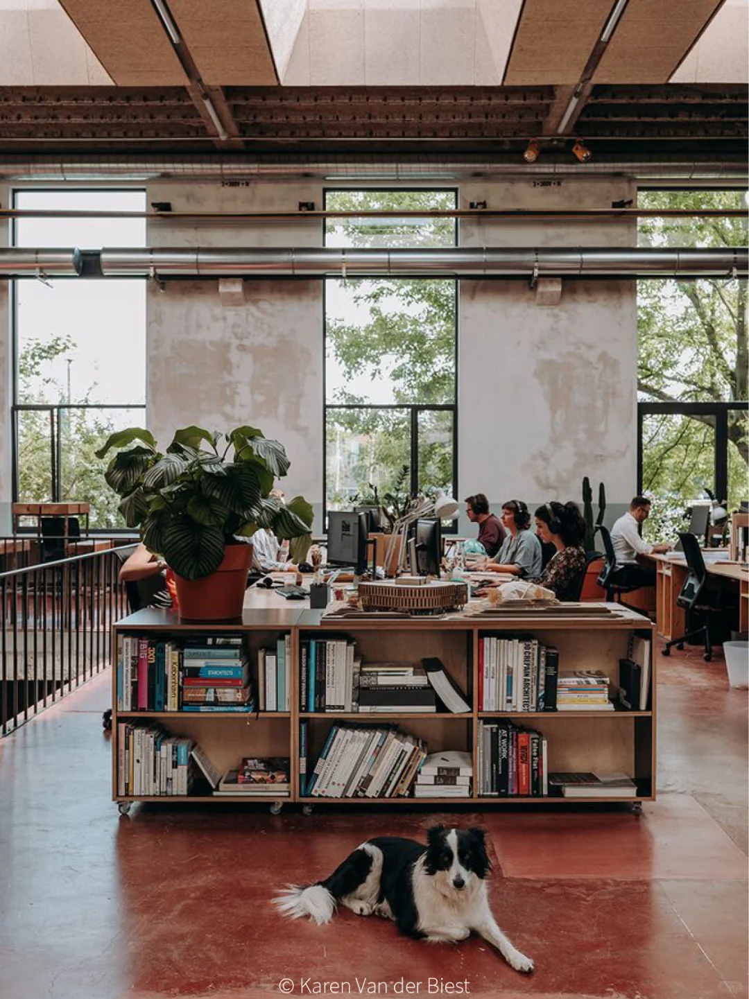 真·牛马?就来“马戏团”里办公