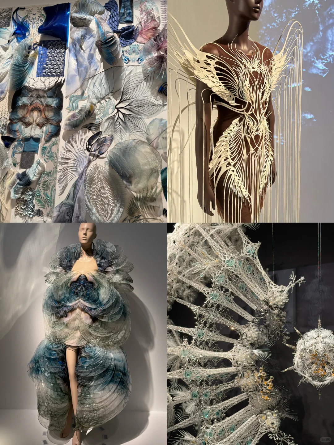 Iris van Herpen | 梦境与现实的边界
