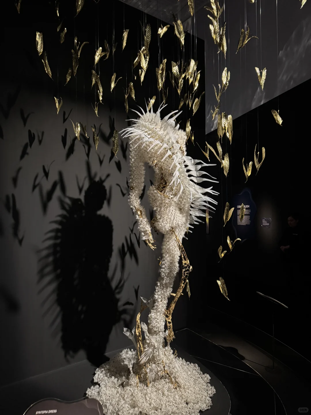 Iris van Herpen | 梦境与现实的边界