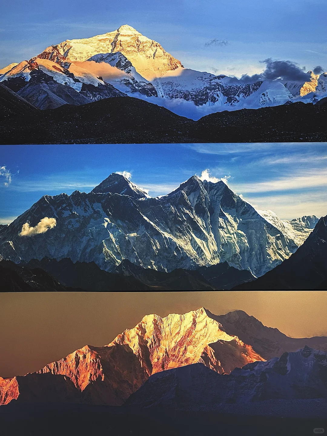 石家庄新展！终于来啦！? 太震撼啦！！