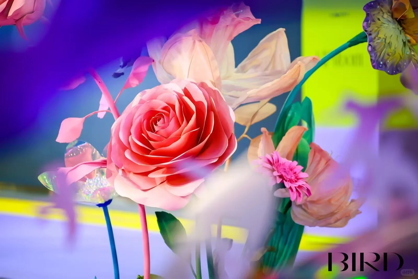 2025年深圳国际大湾区女装展览会BIRD