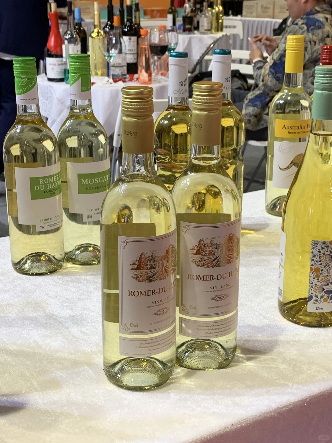 今日中酒展大揭秘！酒类知识大丰收