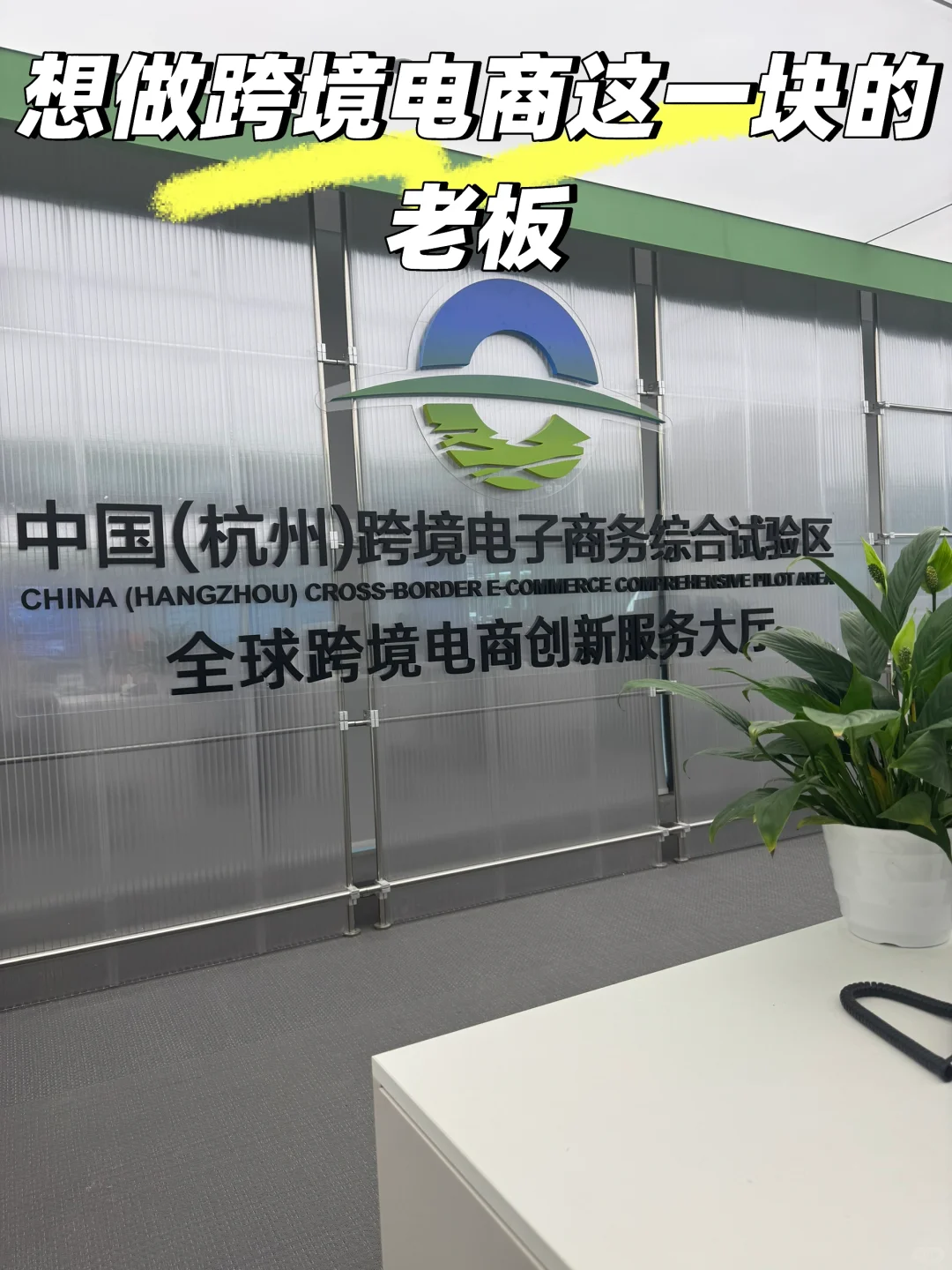 超酷的跨境电商试验区！！！