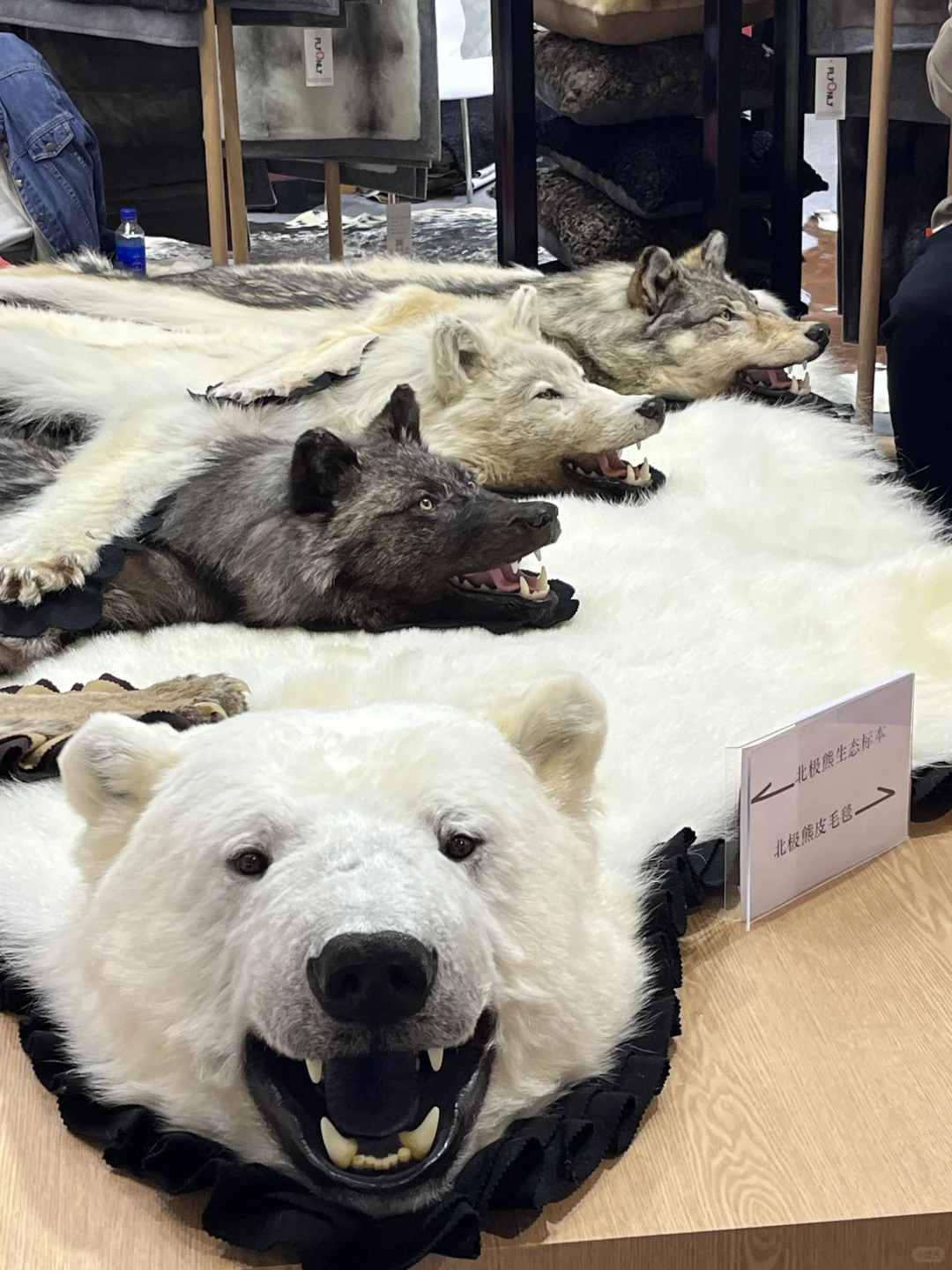 The 7th China International Import Expo