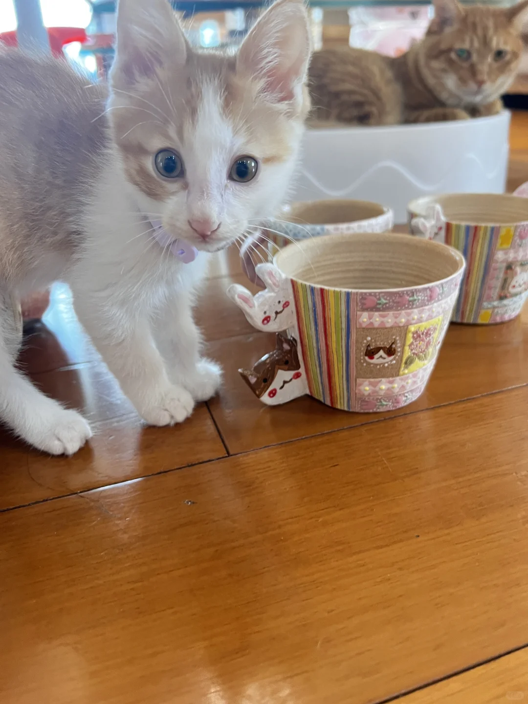 报名游游个展现场，希望可以抽到