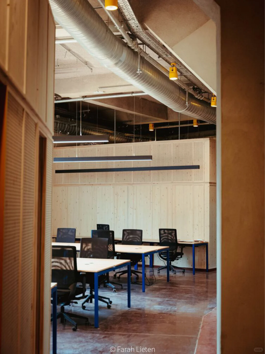 真·牛马?就来“马戏团”里办公