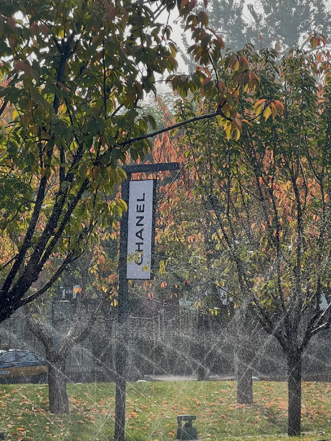 香奈儿在北京的香水展?