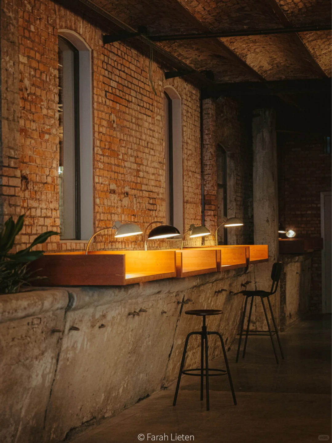 真·牛马?就来“马戏团”里办公