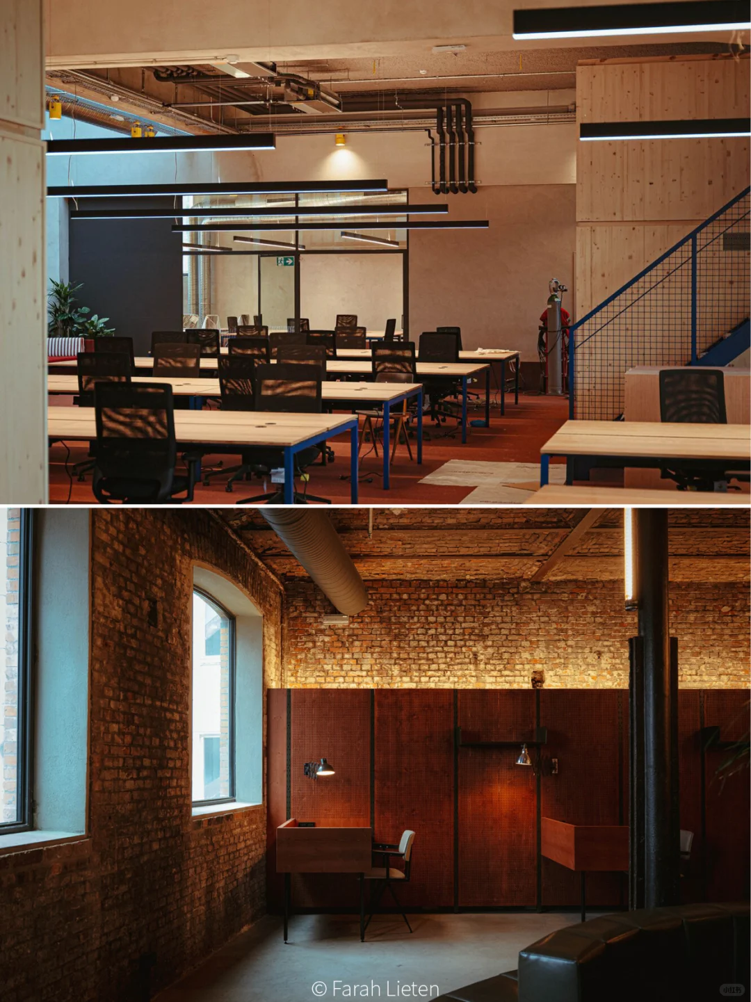 真·牛马?就来“马戏团”里办公