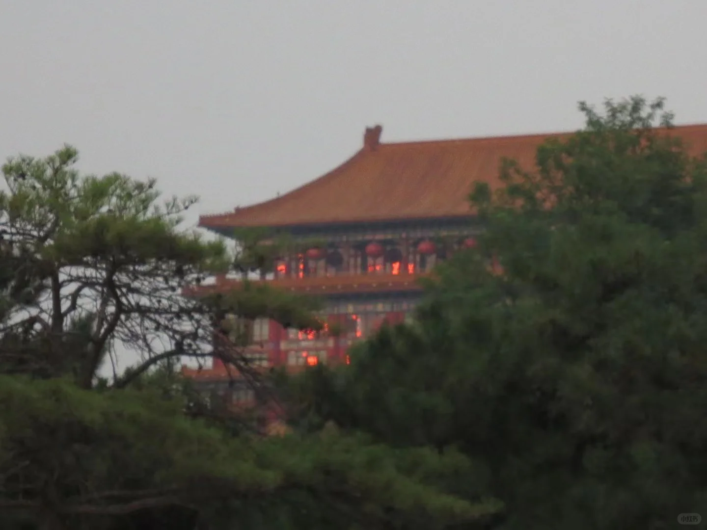 全国高等学校民航服务技能大赛||推介会（上）