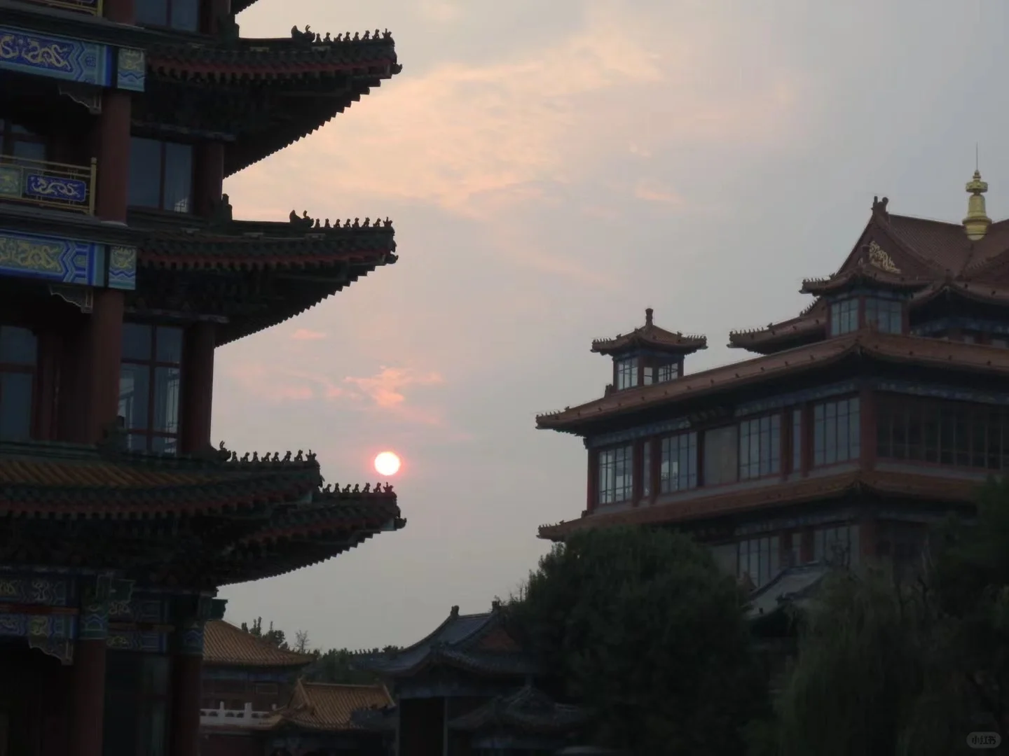 全国高等学校民航服务技能大赛||推介会（上）