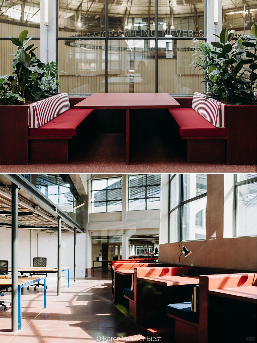 真·牛马?就来“马戏团”里办公