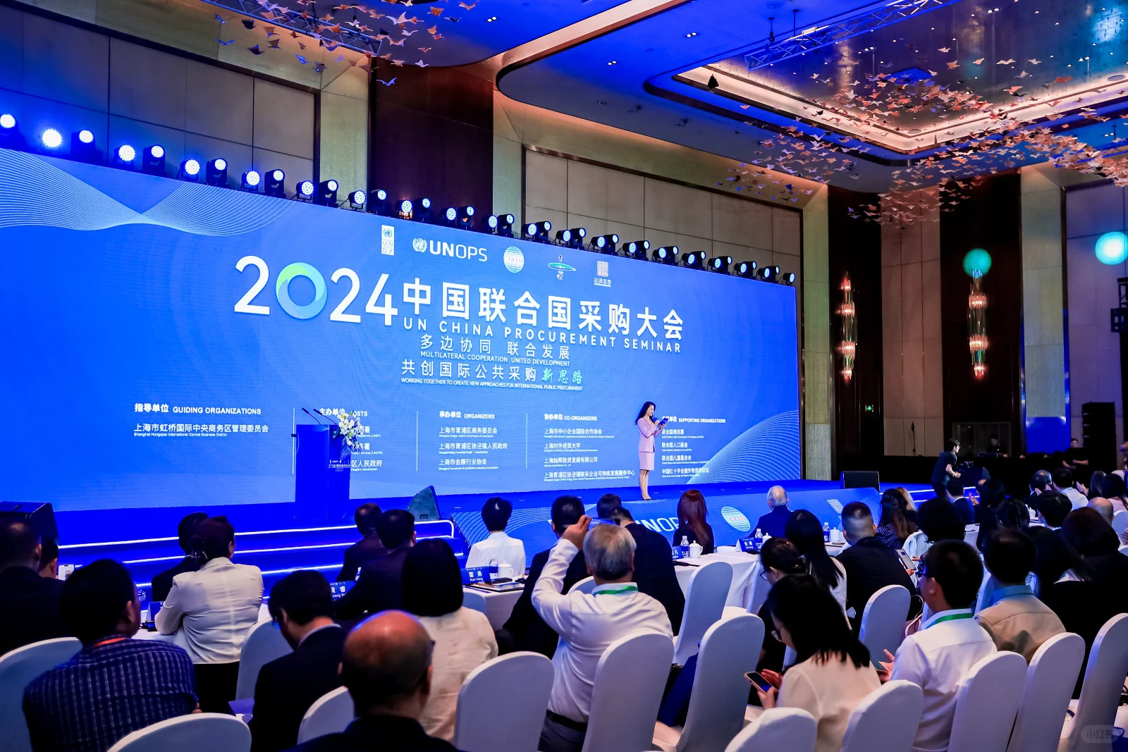 联合国采购大会主持工作片段