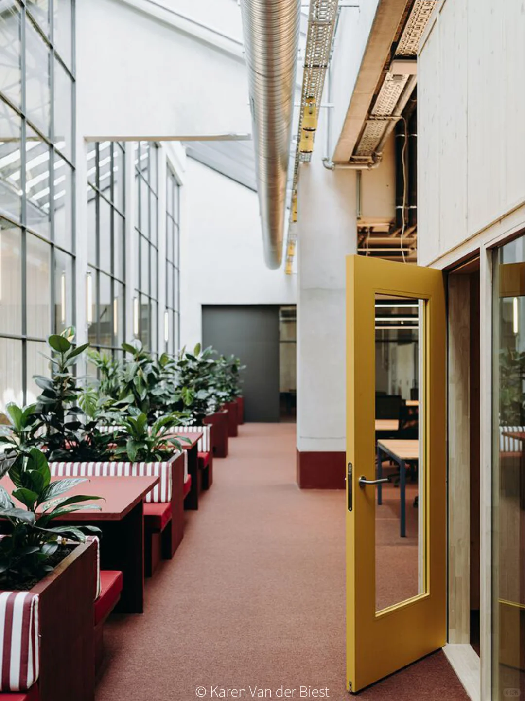 真·牛马?就来“马戏团”里办公