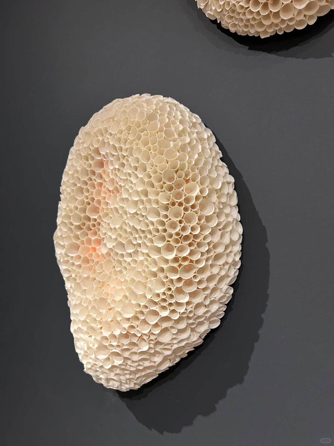 来看！全球顶尖艺术设计展有什么！？