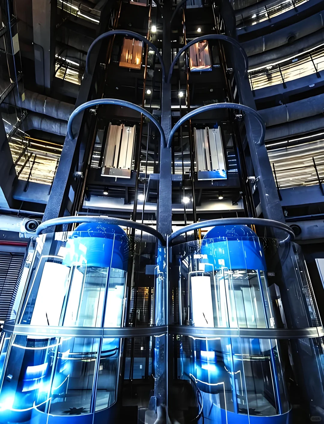 溜娃好去处，深圳最魔幻的展览馆