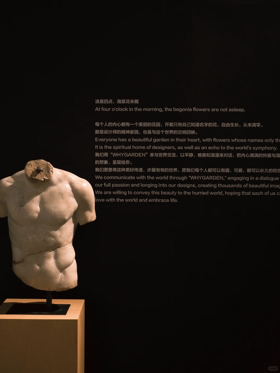 AVE ROMA｜WHYGARDEN 设计上海2025