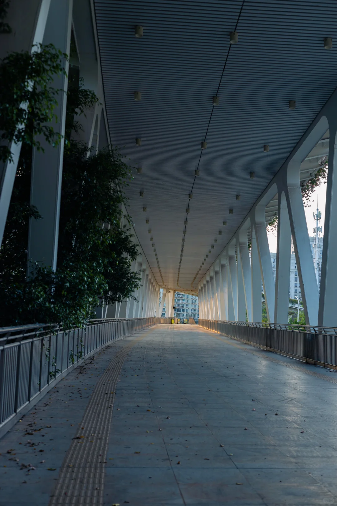 【迷路在南宁NO.1】?有热闹有安静