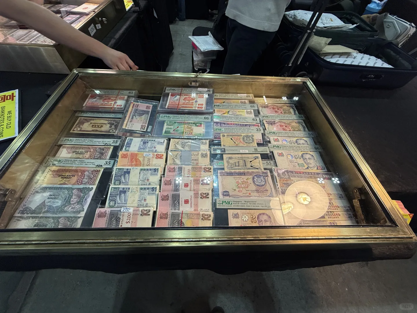 新加坡钱币展：全球500家展商带来的盛宴！