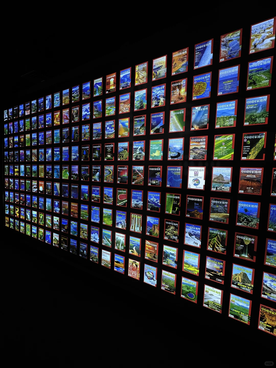 石家庄新展！终于来啦！? 太震撼啦！！