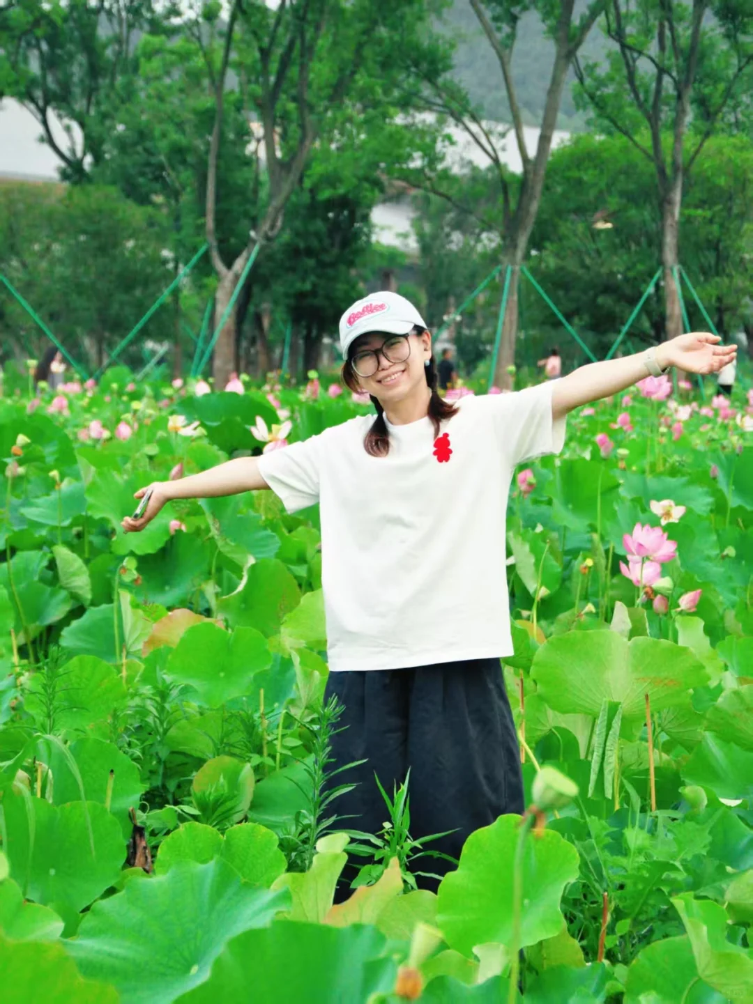 又是一年盛放时