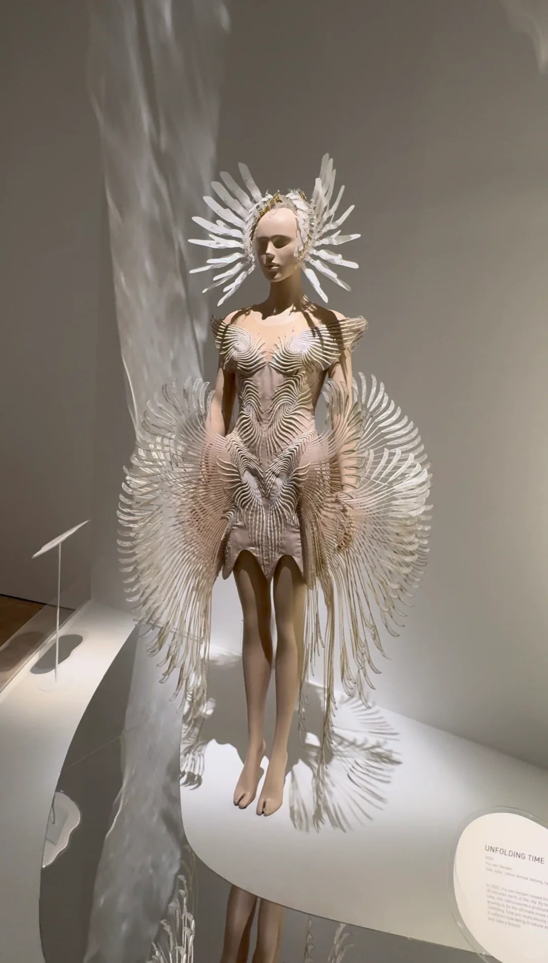 Iris van Herpen | 梦境与现实的边界