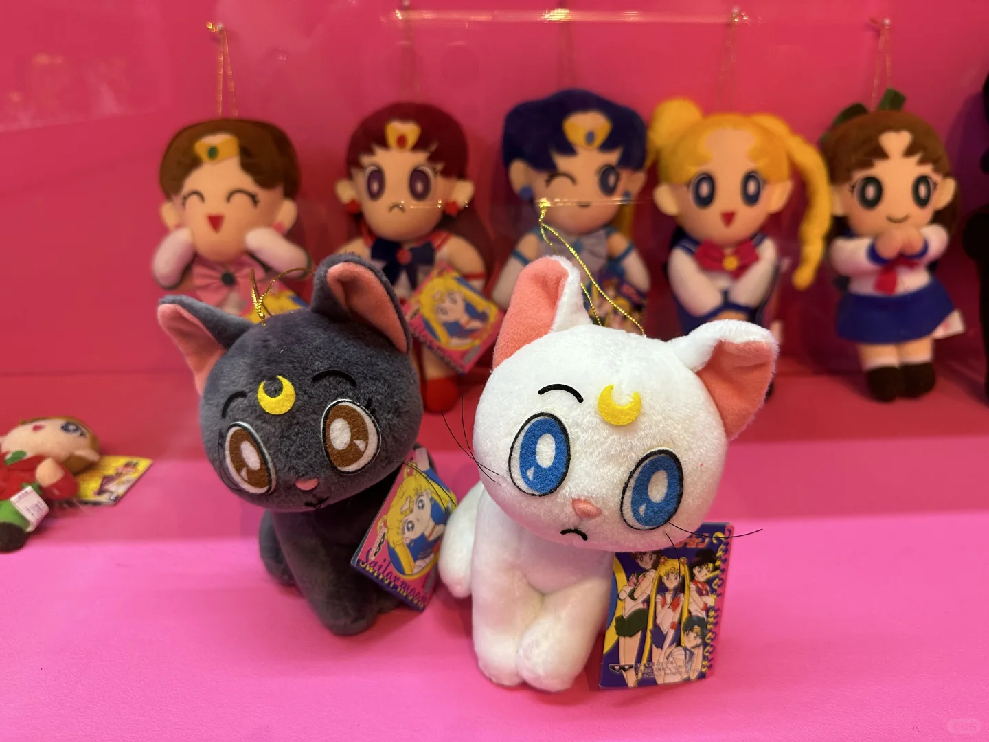 美少女战士30周年巡展