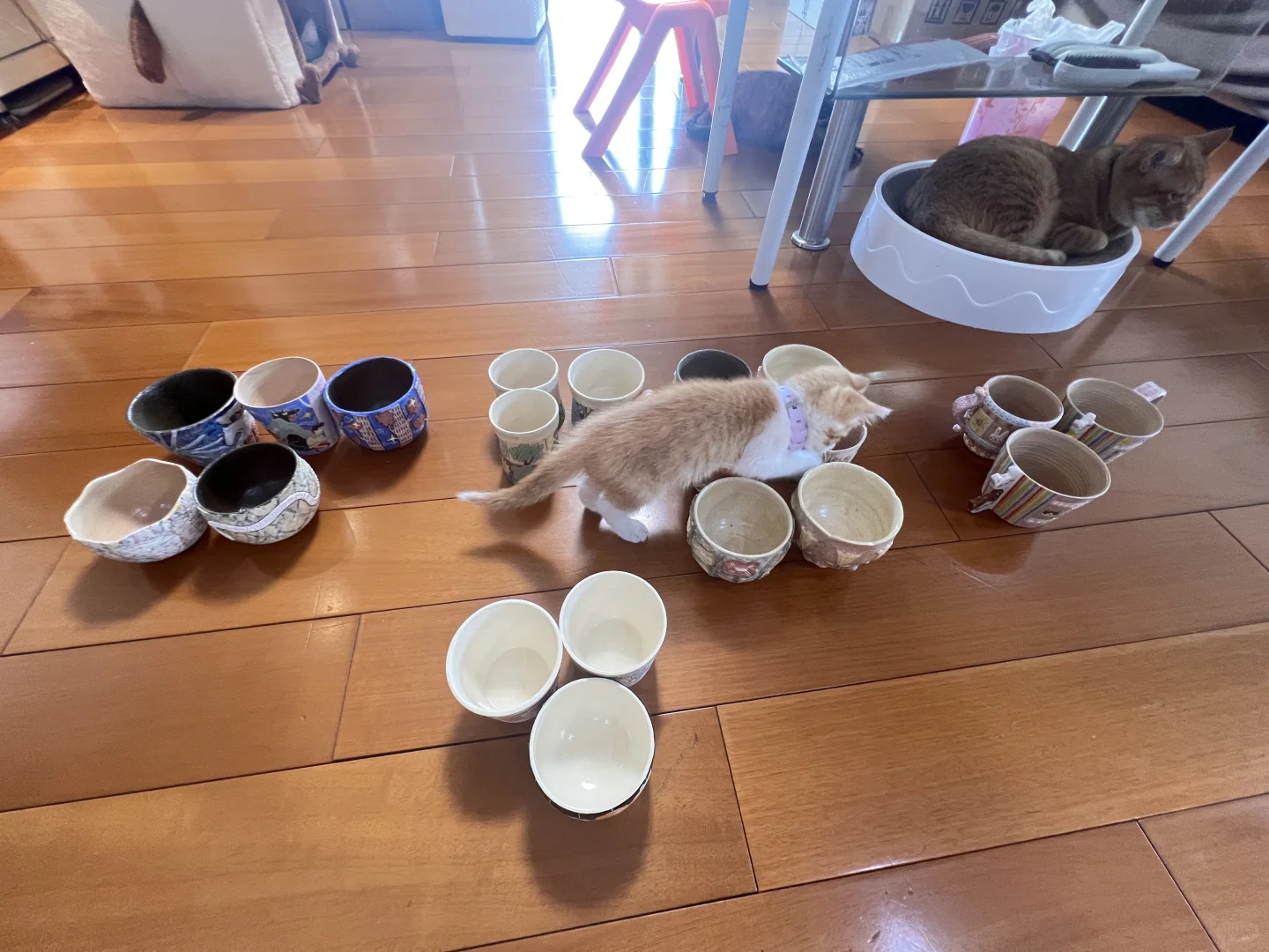 报名游游个展现场，希望可以抽到