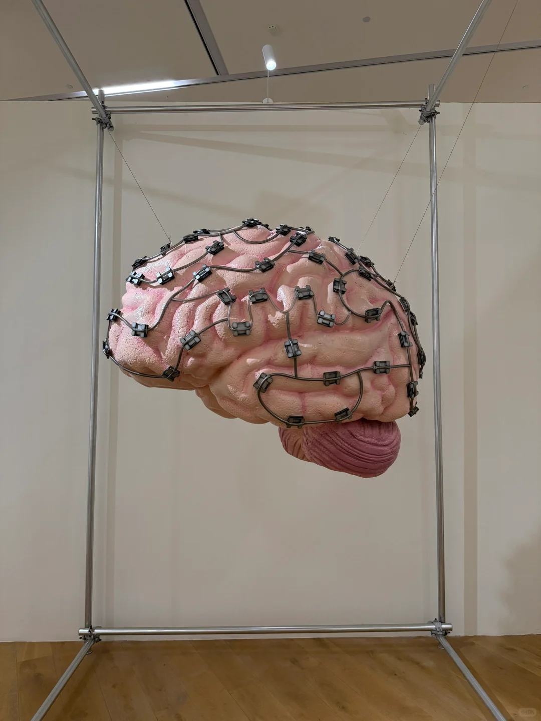 打卡中国美术学院毕业展上超现实、脑洞~艺术