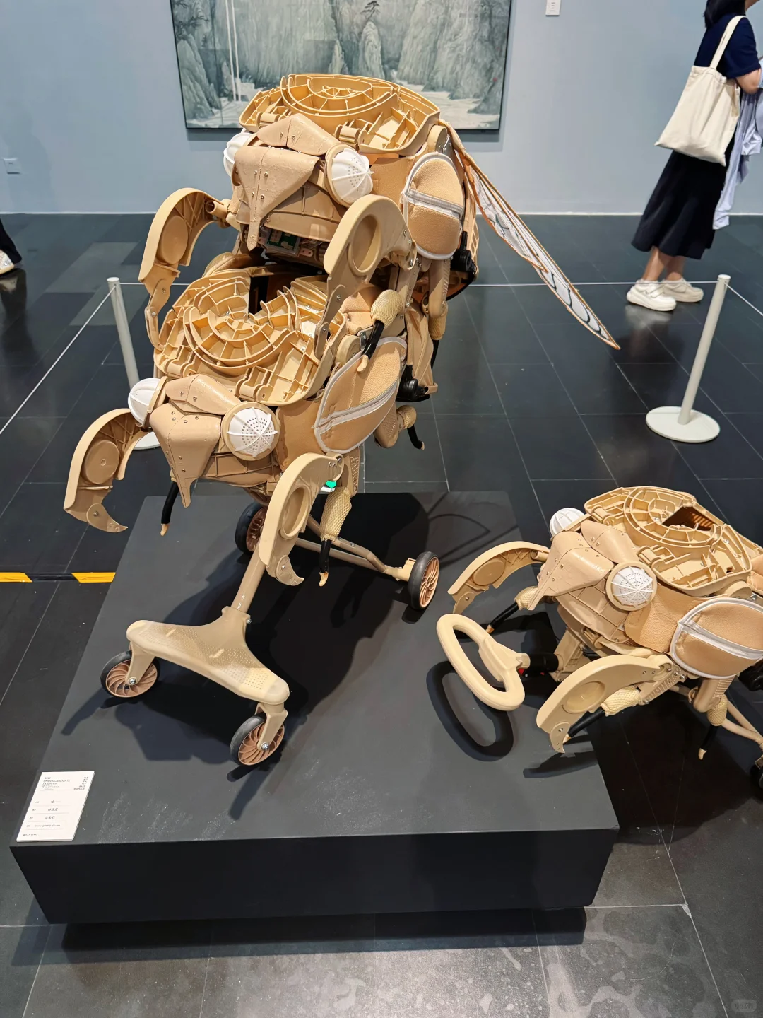 来看了清美本科毕业展