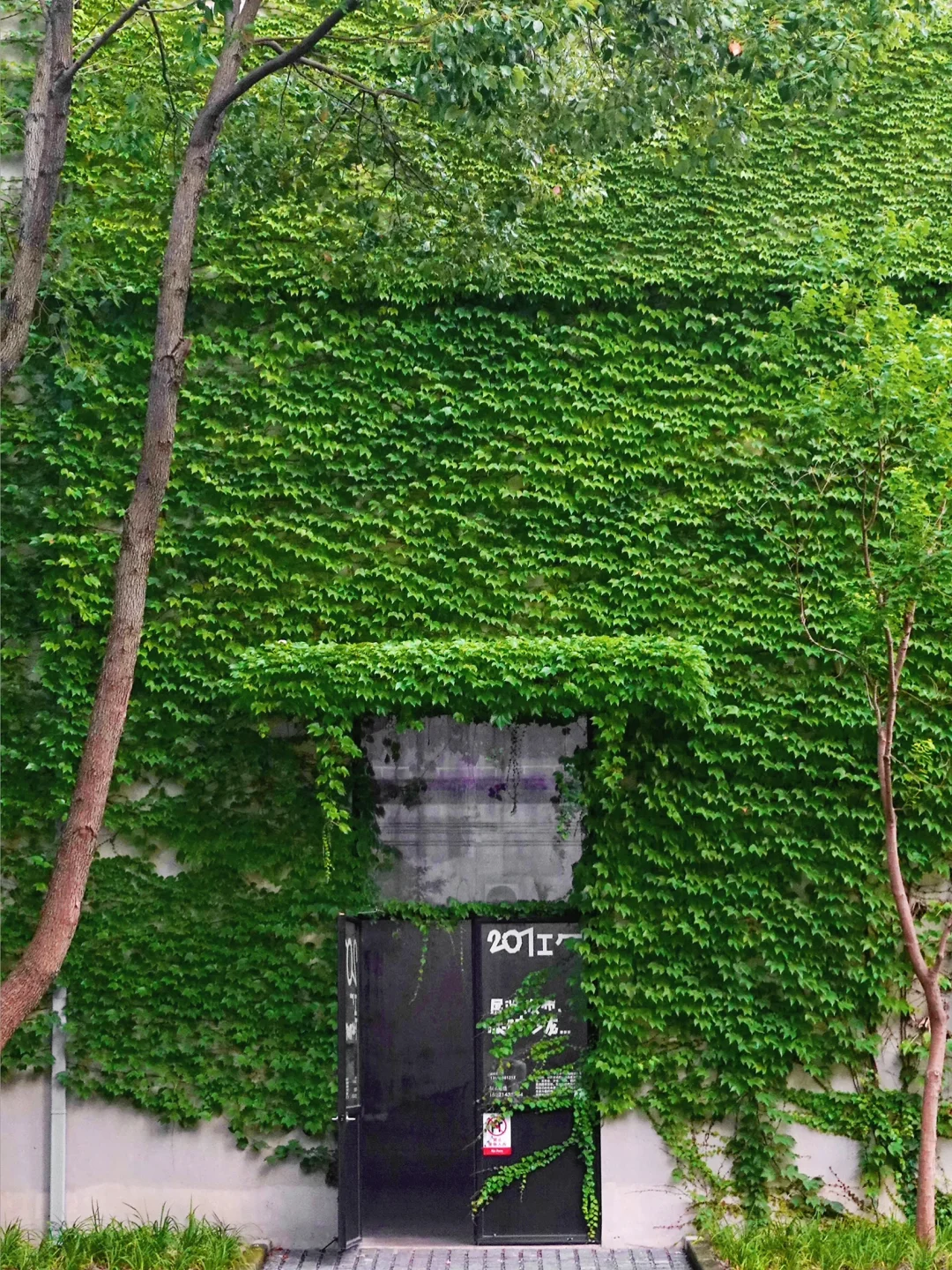 Look in my eye‼️老工业区爆改超现实主义?