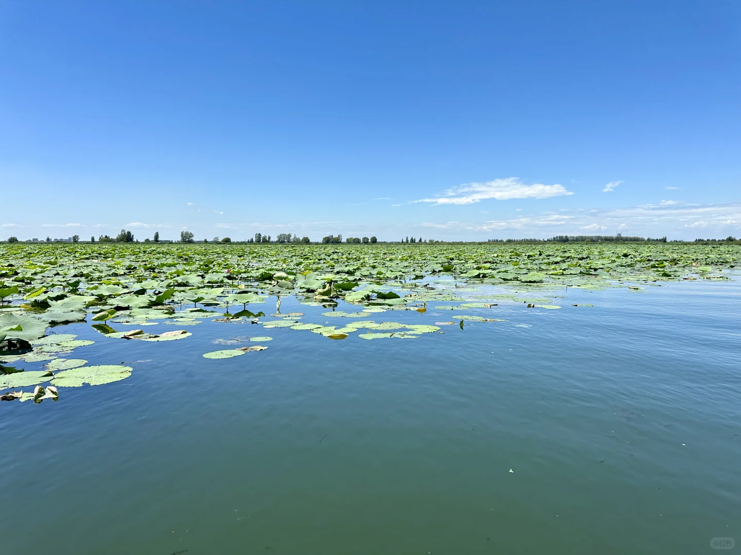 娃游记?? | 自驾亲子七天游河北?