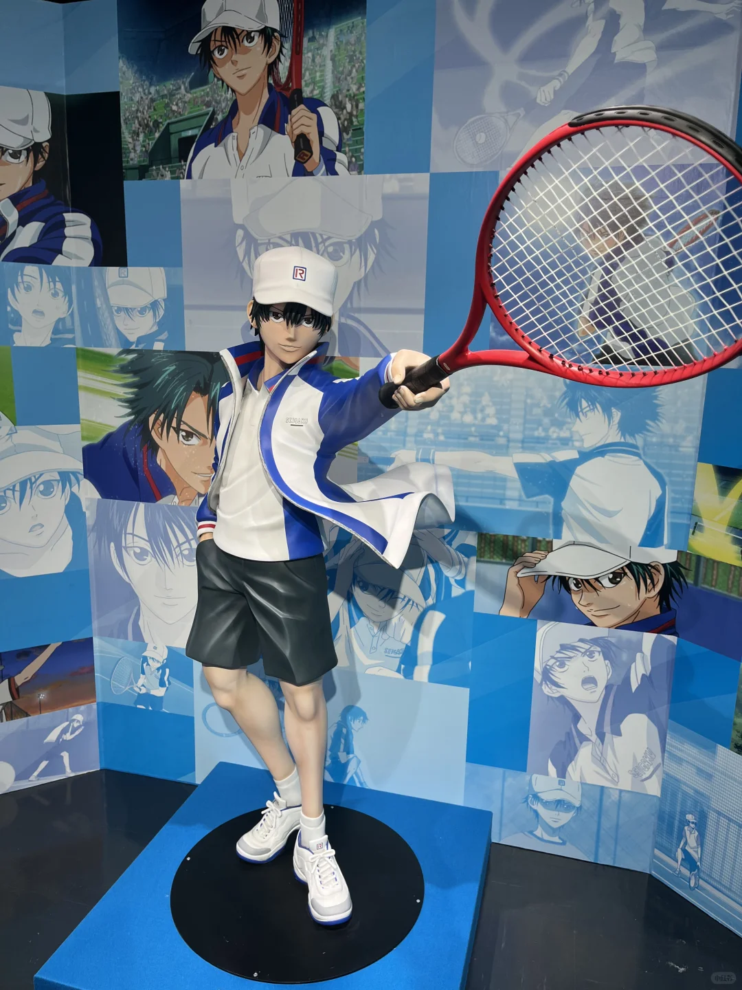 【网球王子】动漫展?