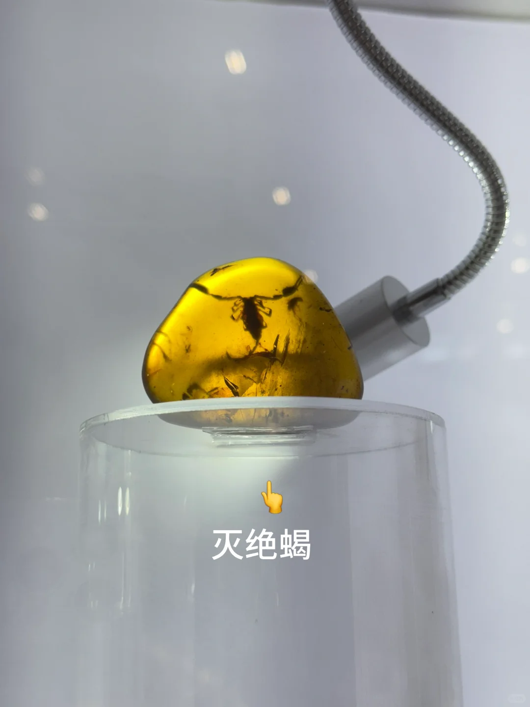 非遗控狂喜?2025文博会真·宝藏大展❗️